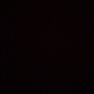 Meet your Posher, Joey